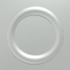 T_Silver_5A